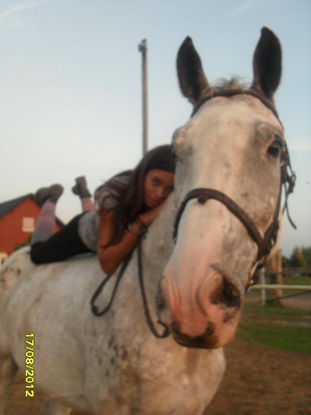 Dragonn 