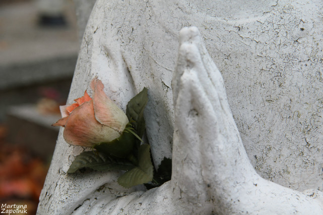 Memento mori 1