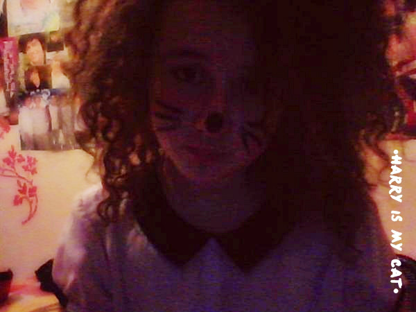 I'm cat