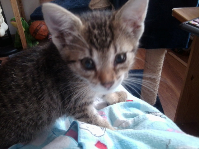 Maa MIiii *)
