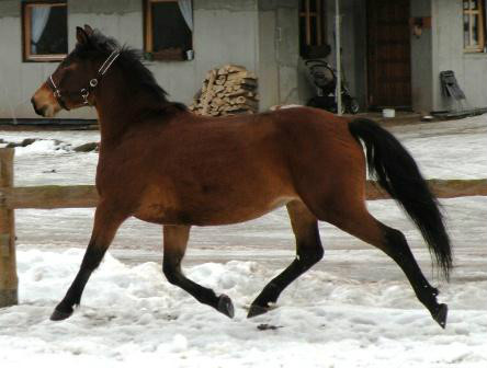 Maa Mocca :D