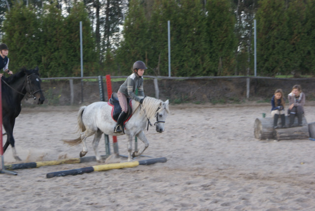 Wiktor ;3