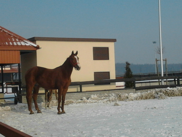 Brrr... Zimnoo ! ;o 