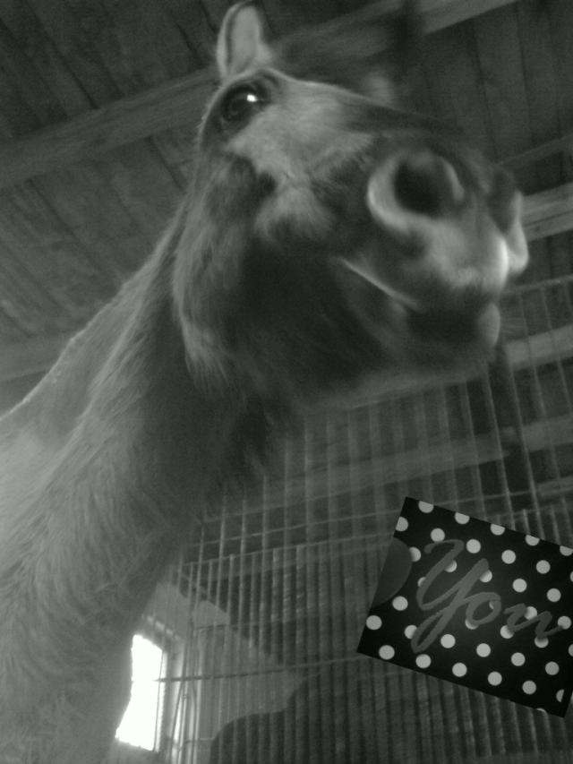 kuubu. ;p