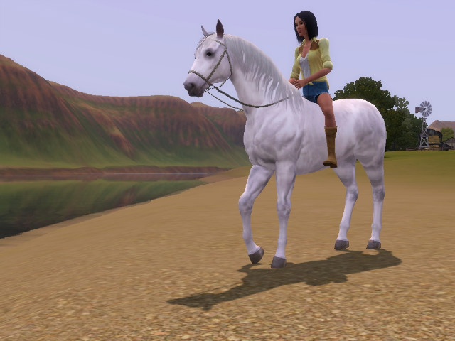 Wpis swiatsims0w