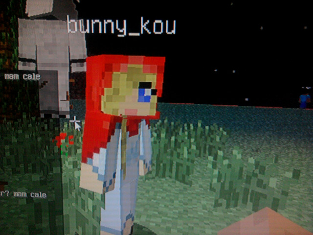 bunny_kou .