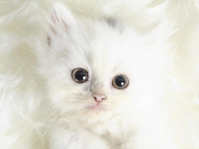 O mnie . < 3