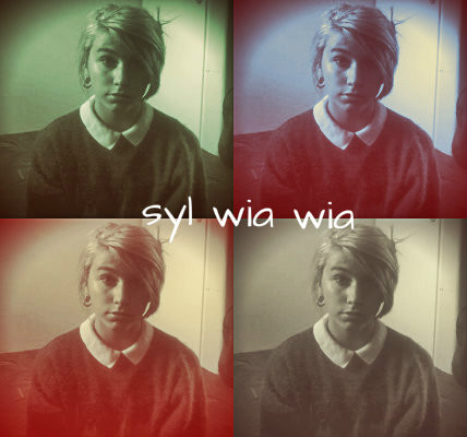 Wpis sylwiawia