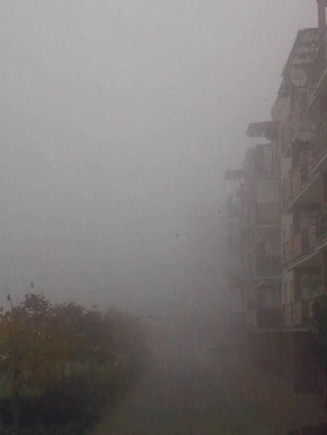 Poranek..widok z okna