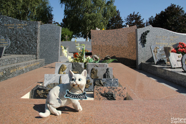 Memento mori 6