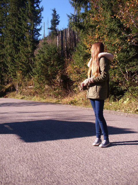 autumn leaves
