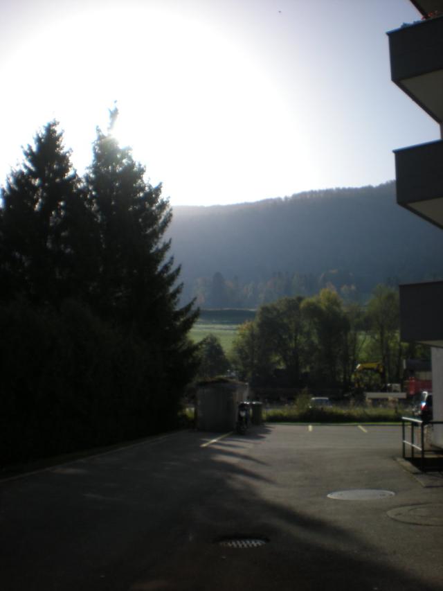 widok zza domu
