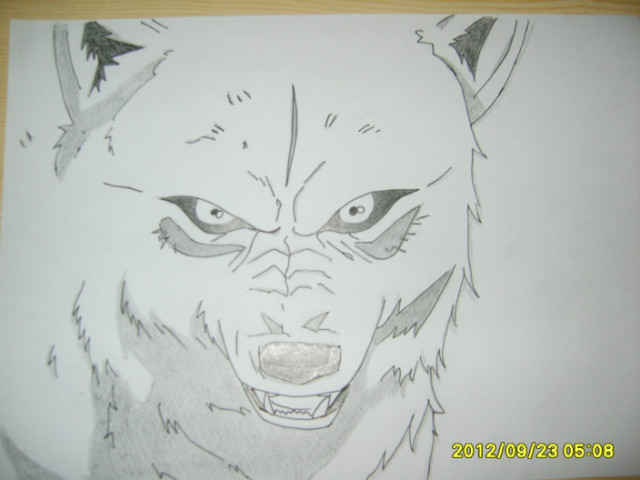 Rysunek#2-Wolfs Rain