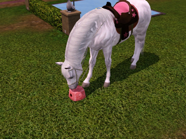 Wpis swiatsims0w