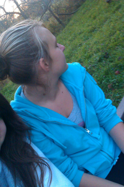 Wpis siwea