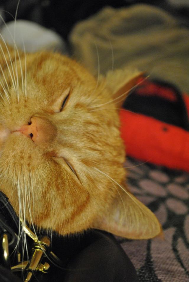 Wpis egzystencjalnypaw12