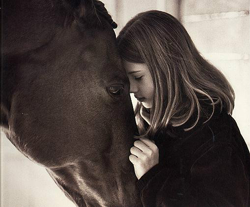 The Horse Whisperer