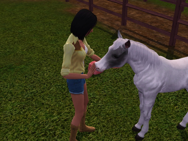 Wpis swiatsims0w