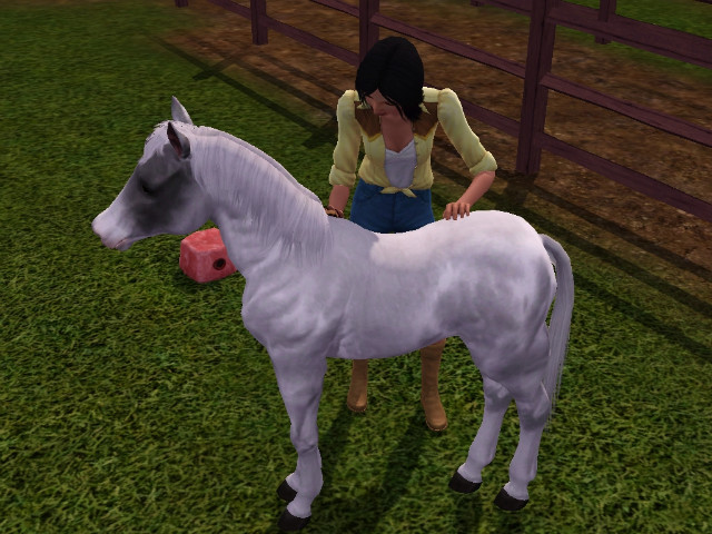 Wpis swiatsims0w