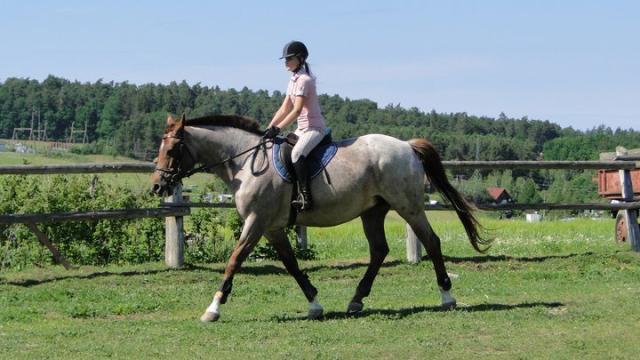 Stare dobre czasy na rudej :**