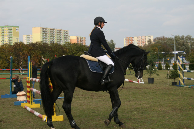 Wpis oliwka293