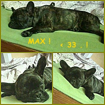 MAX.! < 3
