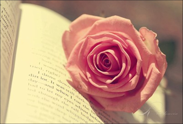 Sally ; *