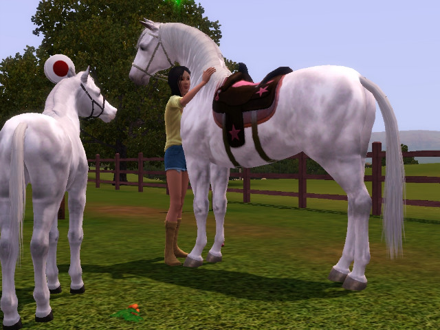 Wpis swiatsims0w