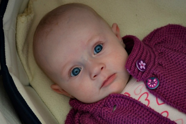 Kinia sodzinka:*