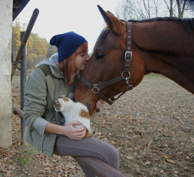 Wpis loveunicorns