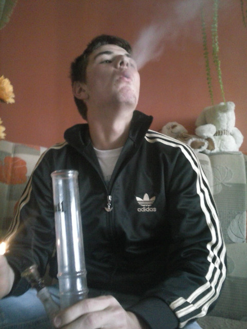 BonGo !:D