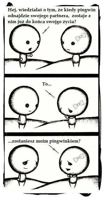 taki tam best