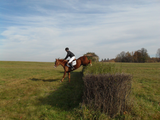 kutasy :)