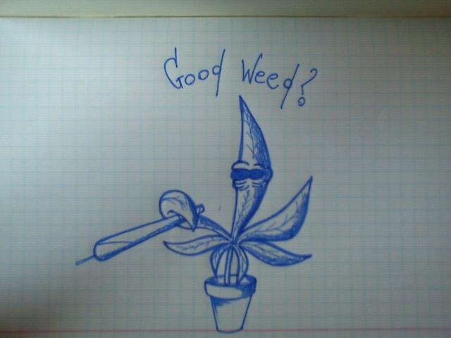 wqwe