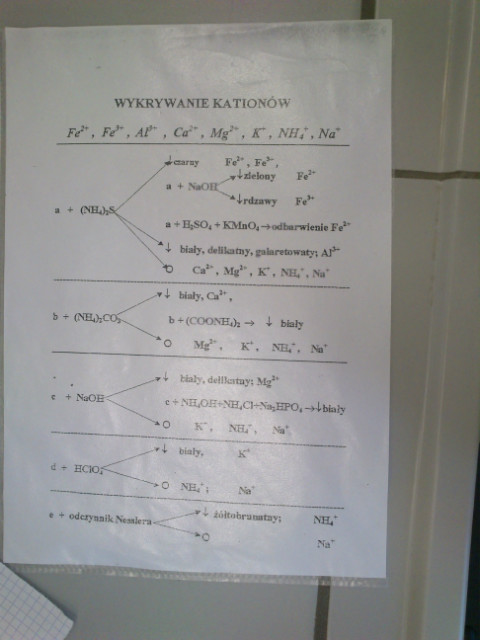 Wpis kittykiwi