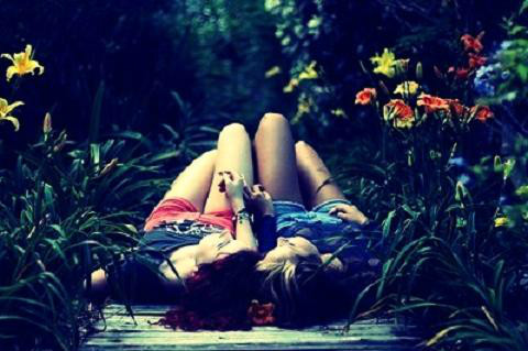 lepy amor