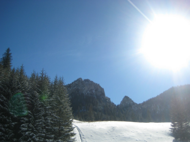 winter