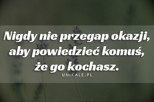 Wpis przypadkoweprzeznaczenie