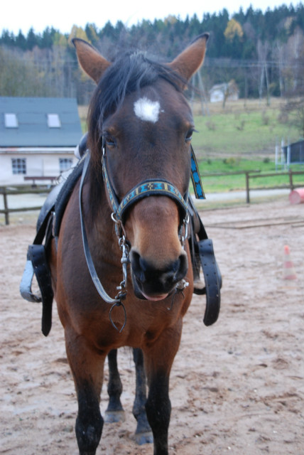 Moje kochanie :*