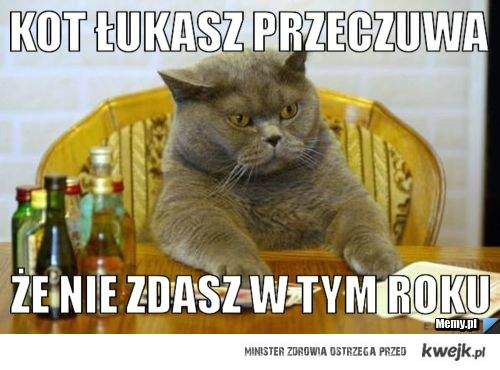 Wpis kumajeczkaxd