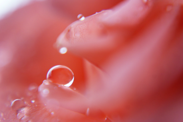 Water drop (2)