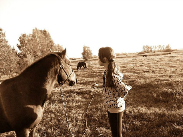Lisek ;(
