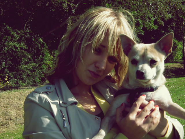 dingo ; *
