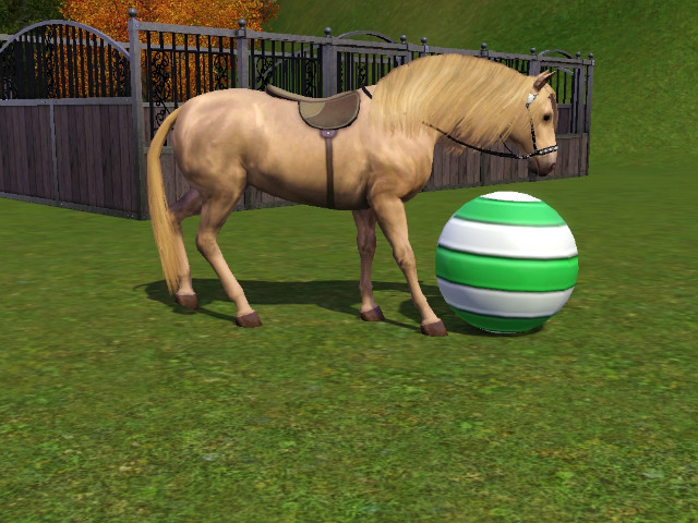 Wpis swiatsims0w