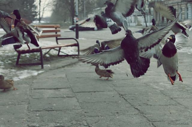 away.