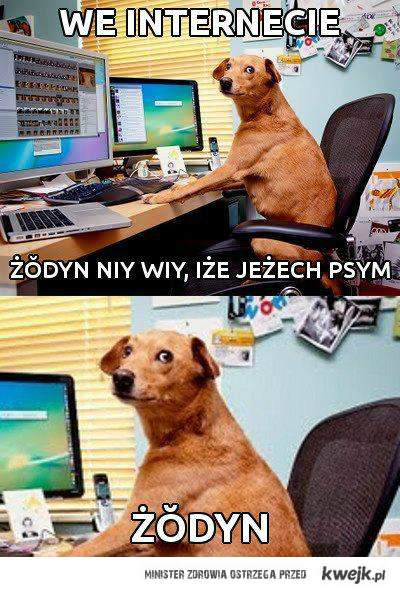 Wpis skipped
