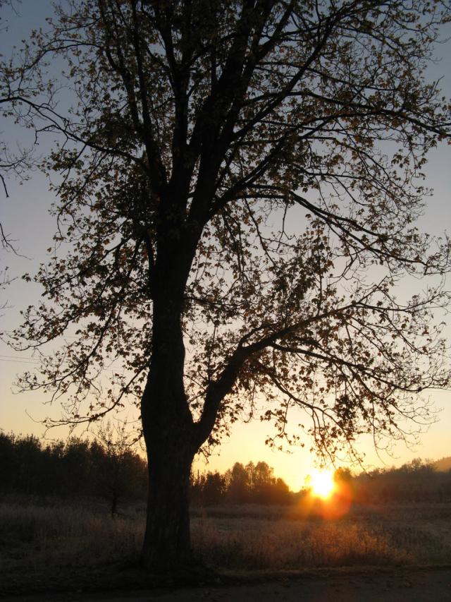 Beyond the sunset