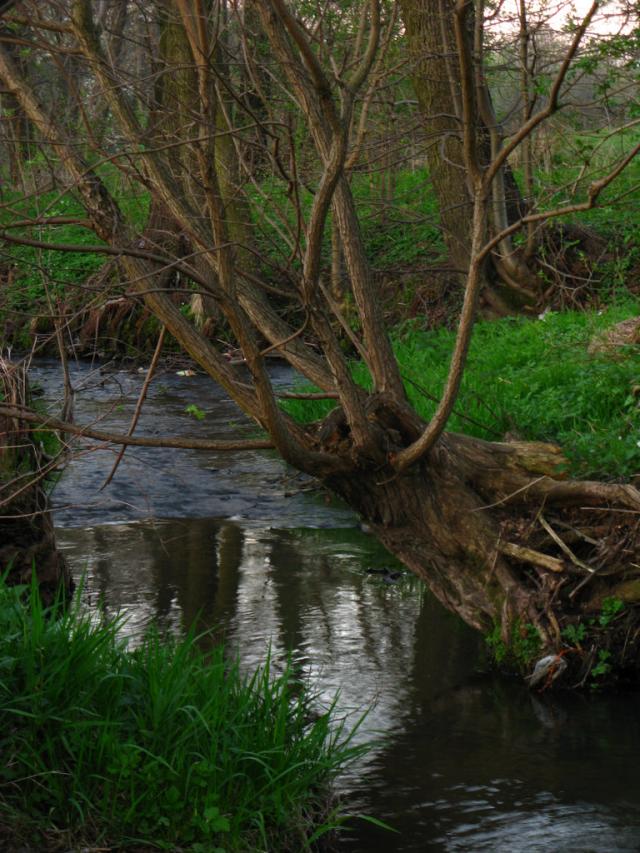 Time is like a river.