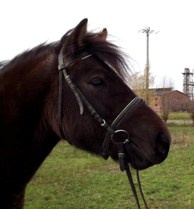 2.