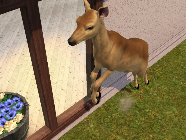 Wpis swiatsims0w